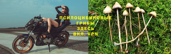 гашик Абдулино