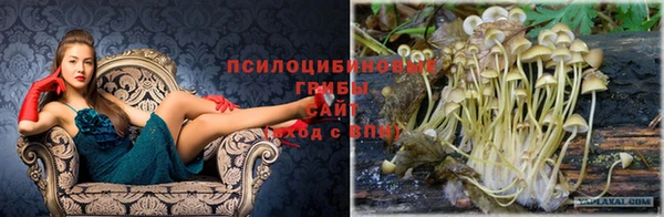 гашик Абдулино