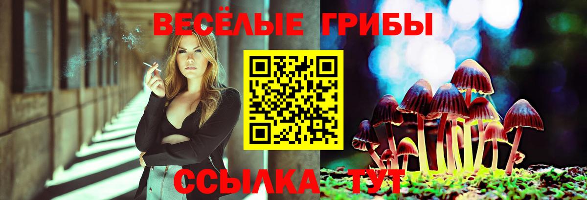 Галлюциногенные грибы мицелий  Вход с VPN  Александров  Галлюциногенные грибы прущие грибы 
